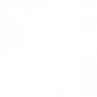 Top MSP near me. CRN MSP 500 2025